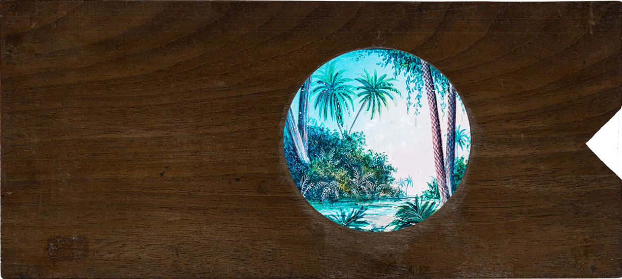 Landscape with palm trees