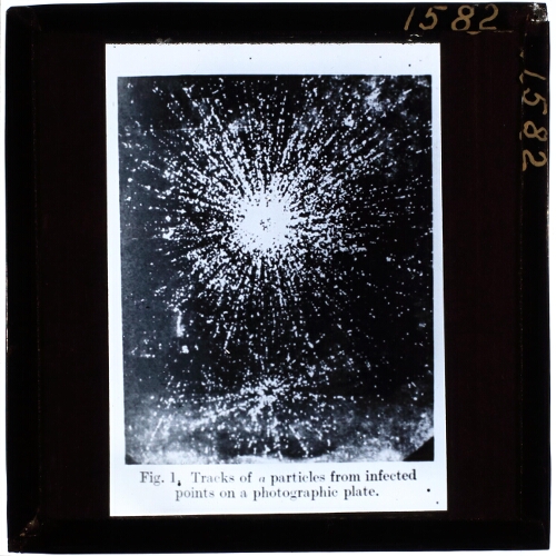 Sporen van alpha-deeltjes op fotografische plaat