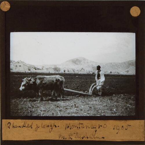 Two handled plough. Montenegro, 1905