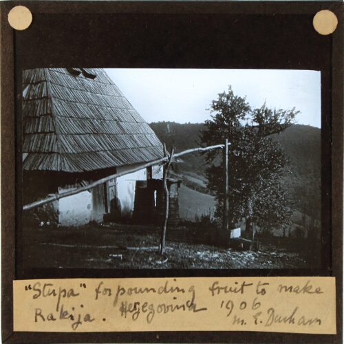 'Stupa' for pounding fruit to make Rakija. Herzegovina, 1906