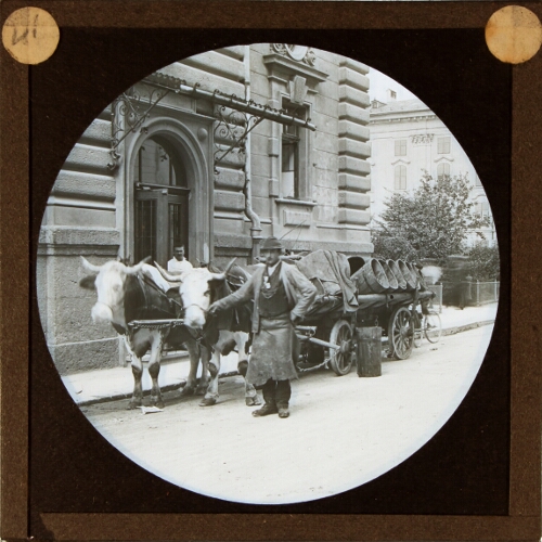 Man with ox-cart in German city
