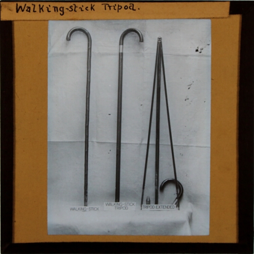 Walking-stick Tripod