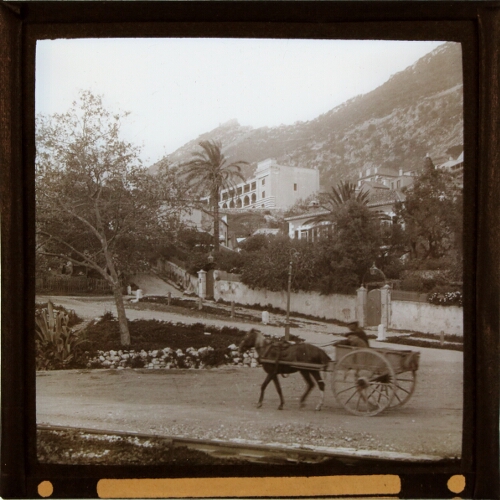 Horse-drawn cart in street, Gibraltar