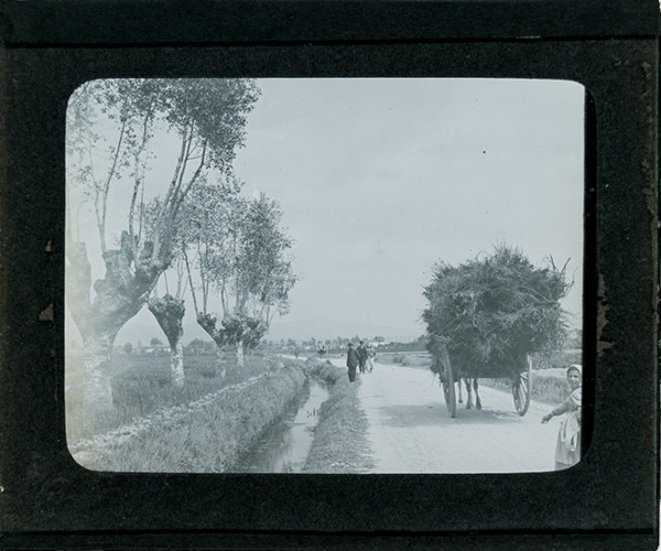 Cart and people on rural road