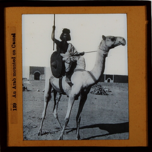 An Arab mounted on Camel