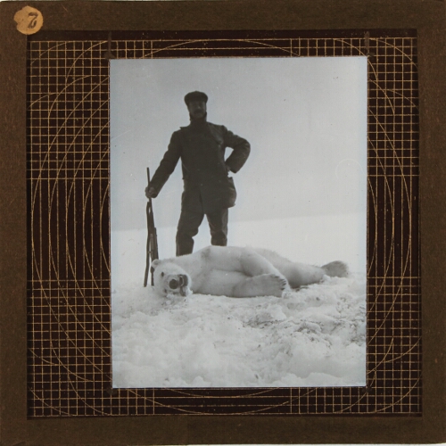 Man with rifle and dead polar bear