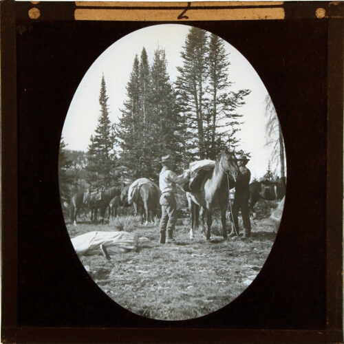 Men attending to loaded horses