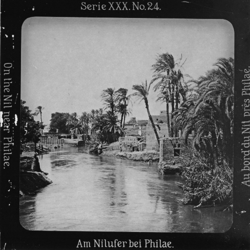 Am Nilufer bei Philae.