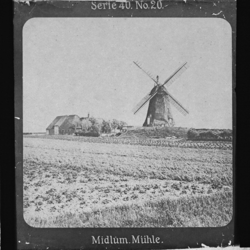 Midlum. Mühle.