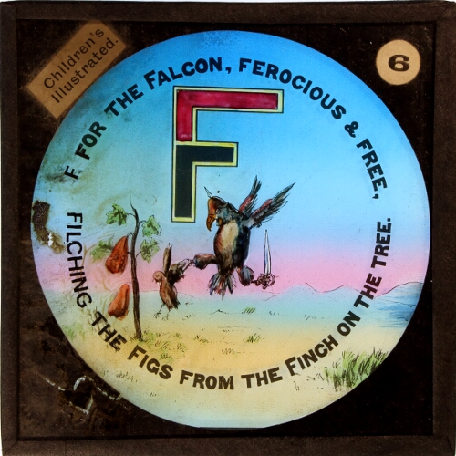 F, for the Falcon, ferocious and free, / filching the Figs from the Finch on the tree