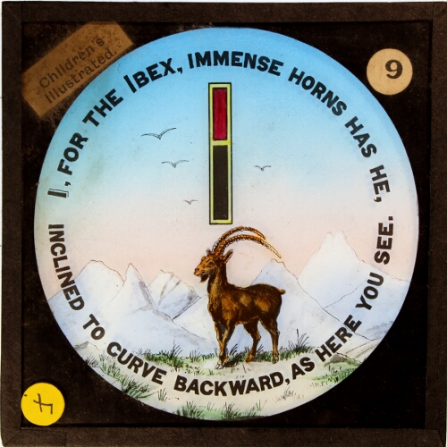 I, for the Ibex, immense horns has he, / inclined to curve backward, as here you see