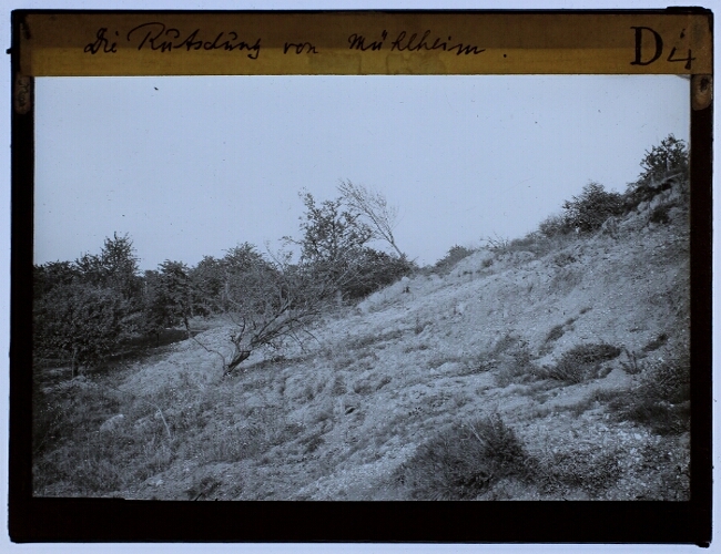 Landslide of Mülheim, Germany
