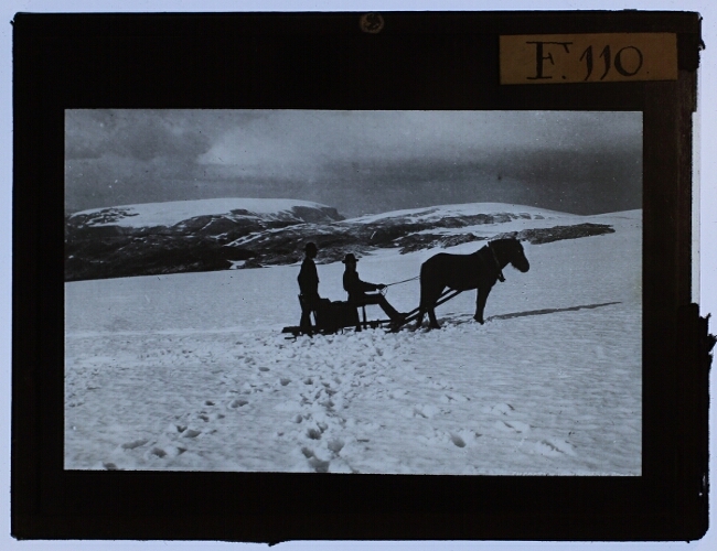 Two men with a horse in the Hochgebirge