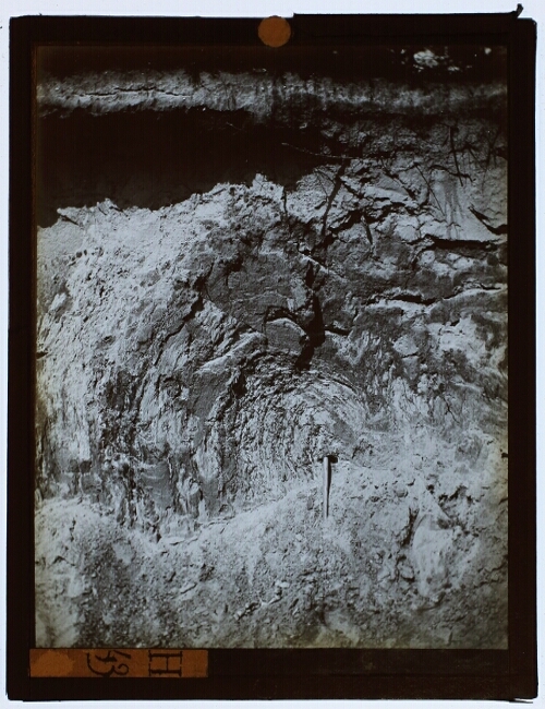 Interglacial deposits, Utrecht Hill Ridge, the Netherlands