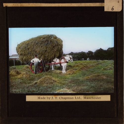 Man with loaded hay cart and horse in field