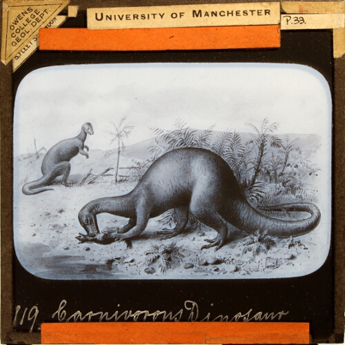 Carnivorous Dinosaur, Megalosaurus Bucklandi
