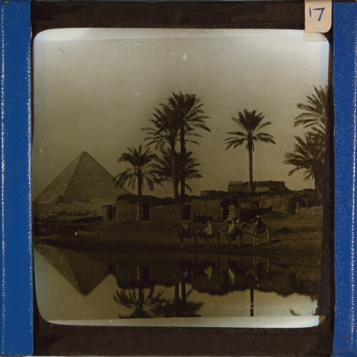Camels, palm trees and river with pyramid in background