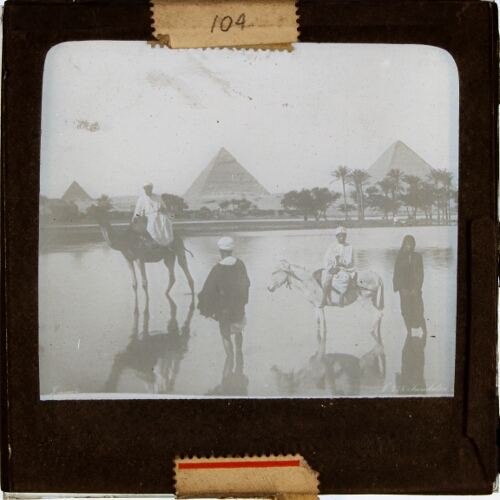 Group of people with camel and donkey, Pyramids of Giza in background