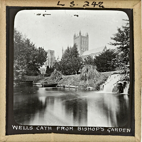 Wells Cathedral, from Bishop's Garden