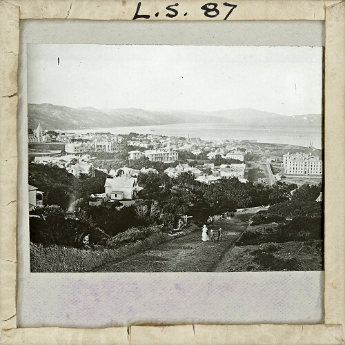 Wellington, General View