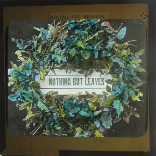 'Nothing but leaves'