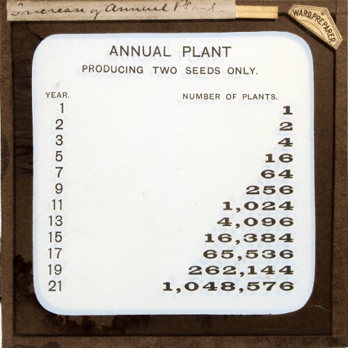 Increase of Annual Plant