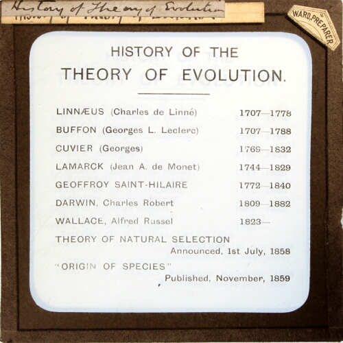 History of the Theory of Evolution