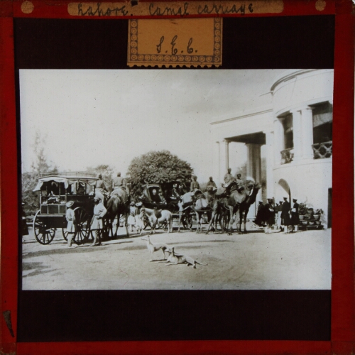 Lahore, Camel Carriage