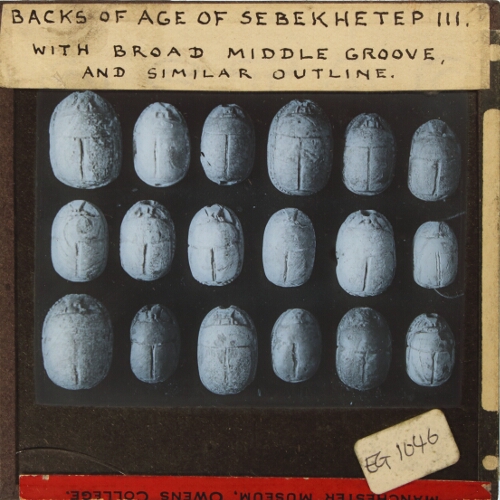 Backs of age of Sebekhetep III