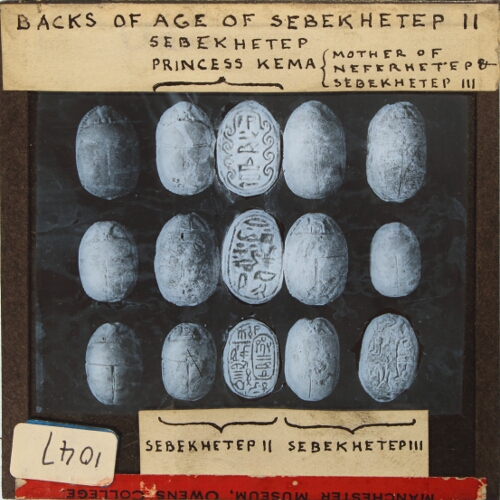 Backs of age of Sebekhetep II