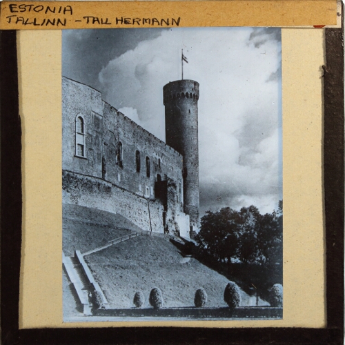 Tallinn -- Tall Hermann