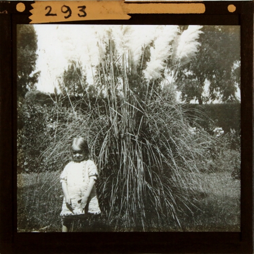 Small girl standing in front of tall grass in garden