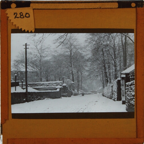 Lane with buildings and trees in snow