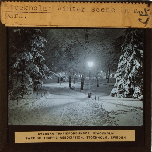 Stockholm: Winter scene in a park