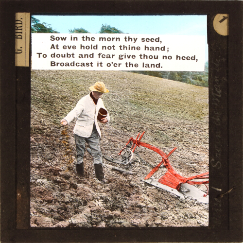 Sow in the morn thy seed, / At eve hold not thine hand;