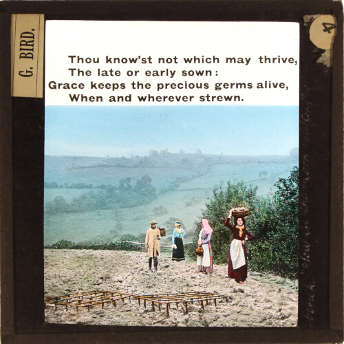 Thou know'st not which may thrive, / The late or early sown;