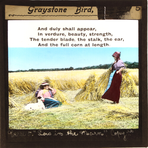 And duly shall appear, / In verdure, beauty, strength,