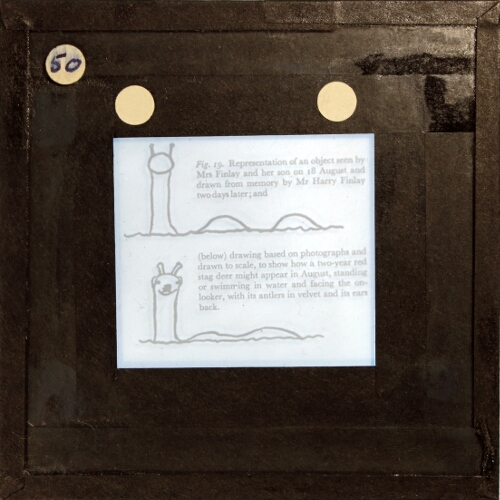 Representation of an object seen by Mrs Finlay and her son on 18 August