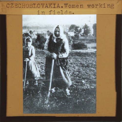 Women working in fields