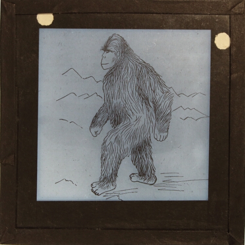 Sketch of unidentified ape-like animal