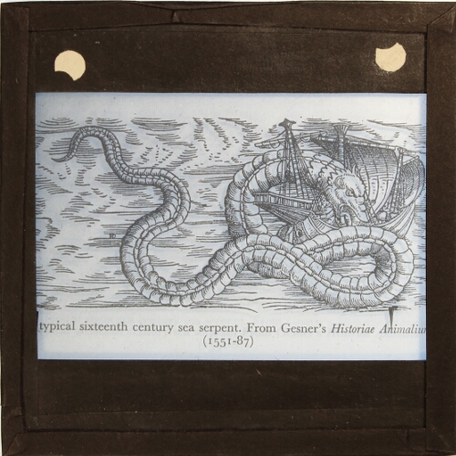 A typical sixteenth century sea serpent