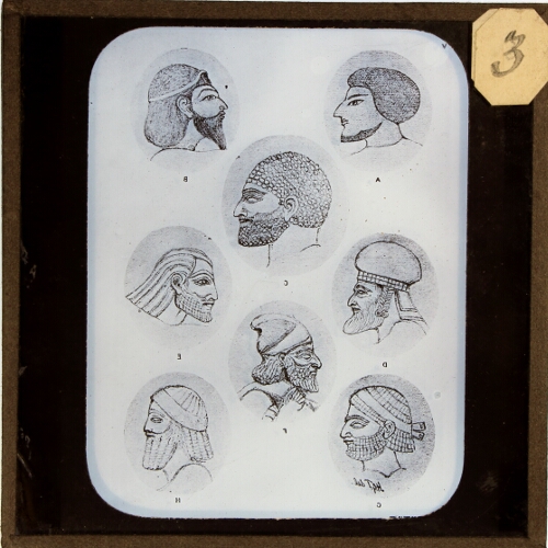 Drawings of eight male heads