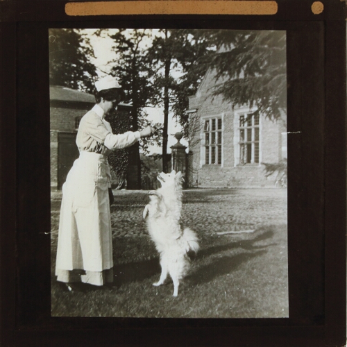 Nurse playing with dog in gardens of Alderley Park