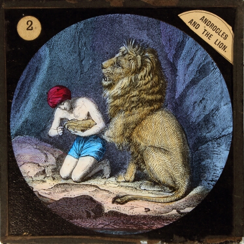 Androcles extracts a thorn from a Lion's foot
