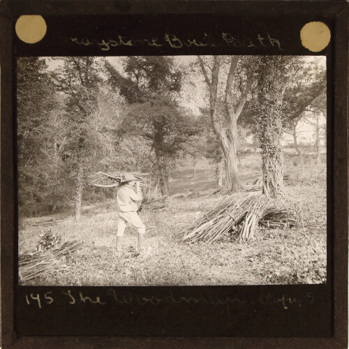 The Woodman