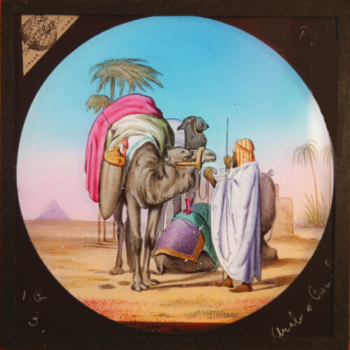 Arab and Camel