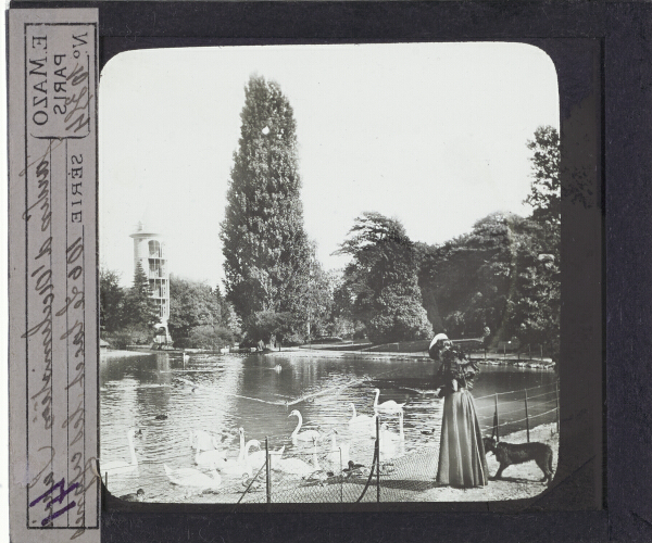 Jardin d’Acclimatation, le lac et les cygnes – secondary view of slide