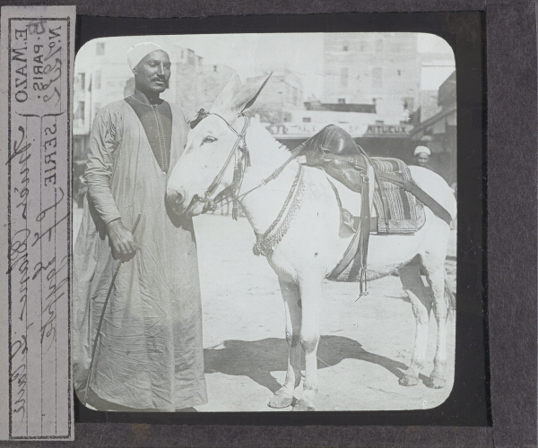 Anier blanc, Le Caire – secondary view of slide