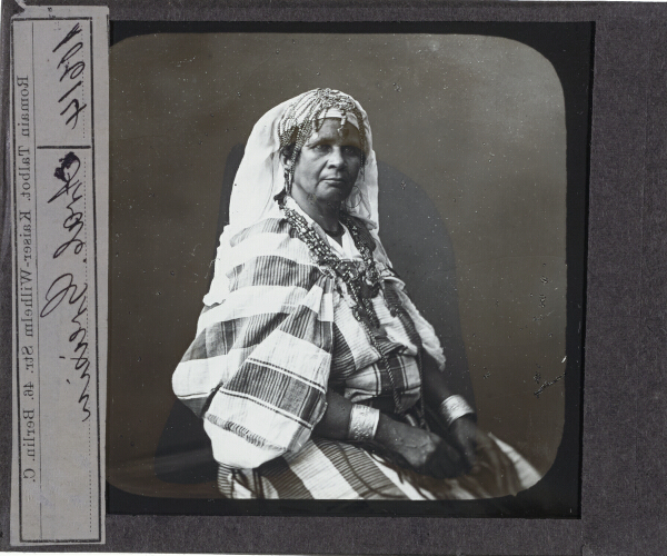 Arab. Greisin – secondary view of slide