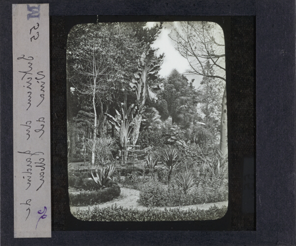 Intérieur du Jardin à Vina del Mar – secondary view of slide